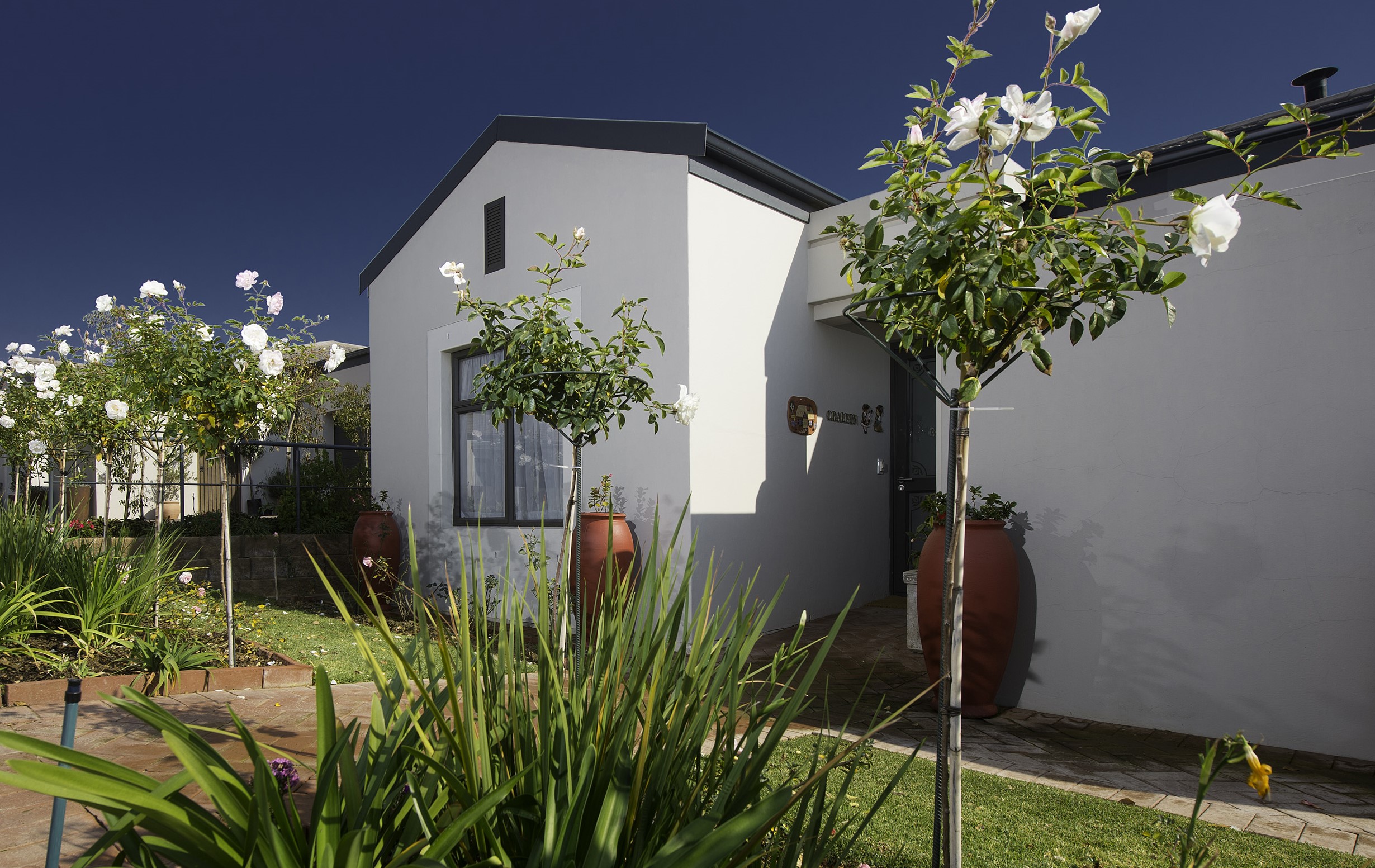 Gallery Image 7