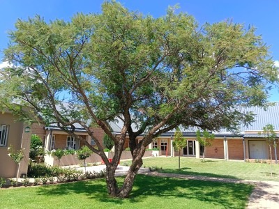 Gallery Image 8